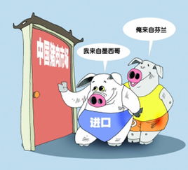 豬肉進口量創(chuàng)新高，價格優(yōu)勢推動網(wǎng)上貿(mào)易代理興起